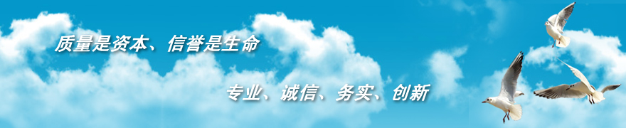 電磁流量計安裝實例