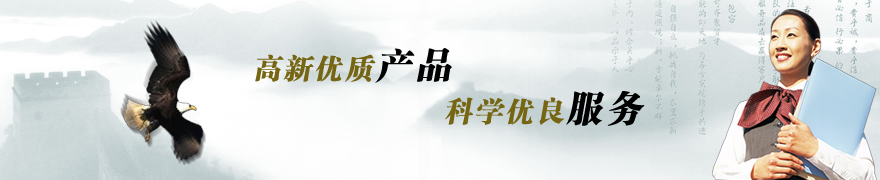 電磁流量計安裝實例